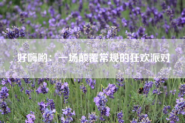 好嗨哟：一场颠覆常规的狂欢派对