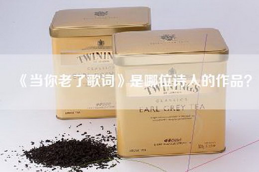 《当你老了歌词》是哪位诗人的作品？