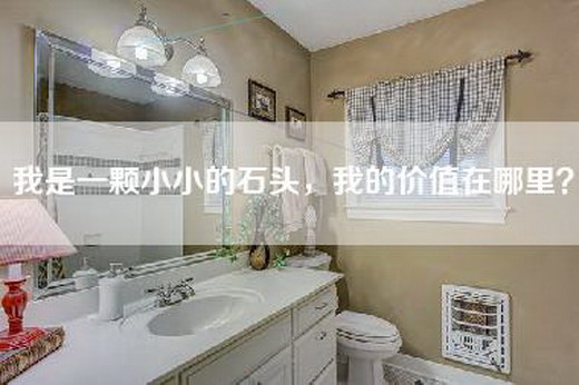 我是一颗小小的石头，我的价值在哪里？