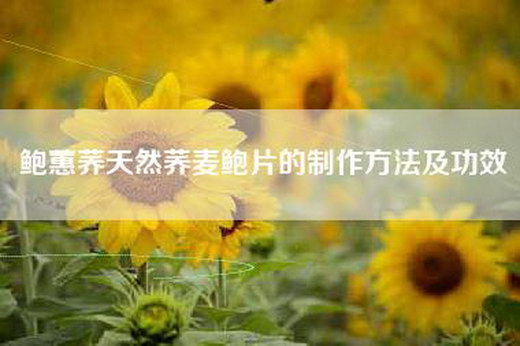 鲍蕙荞天然荞麦鲍片的制作方法及功效