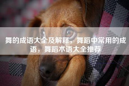 舞的成语大全及解释，舞蹈中常用的成语，舞蹈术语大全推荐