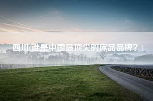 西川(谁是中国最顶尖的床品品牌？)