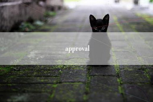 approval