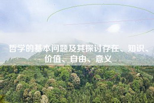 哲学的基本问题及其探讨存在、知识、价值、自由、意义