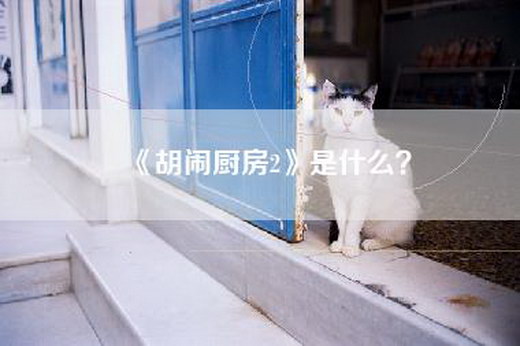 《胡闹厨房2》是什么？