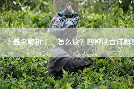 「最全解析」赟怎么读？四种读音详解！