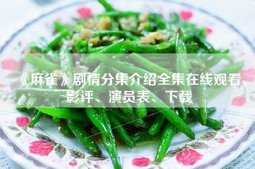 《麻雀》剧情分集介绍全集在线观看、影评、演员表、下载