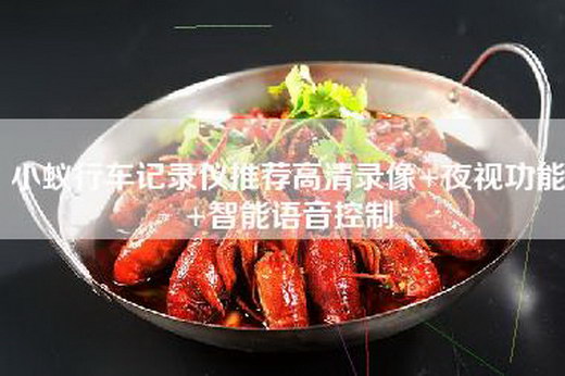 小蚁行车记录仪推荐高清录像+夜视功能+智能语音控制