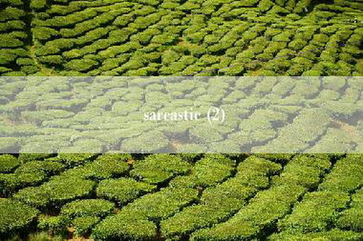 sarcastic (2)