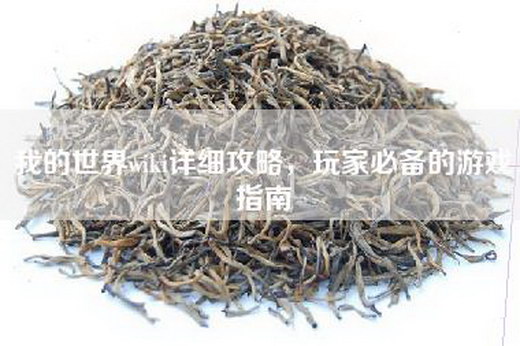我的世界wiki详细攻略，玩家必备的游戏指南