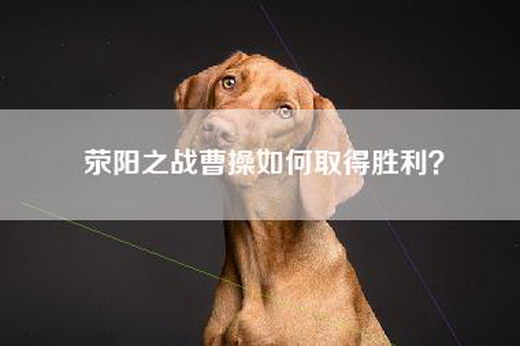 荥阳之战曹操如何取得胜利？