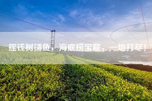 摇钱树捕鱼，海底捞宝藏，一炮打尽！
