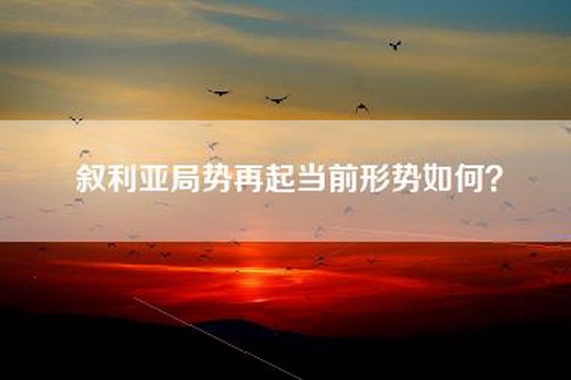 叙利亚局势再起当前形势如何？