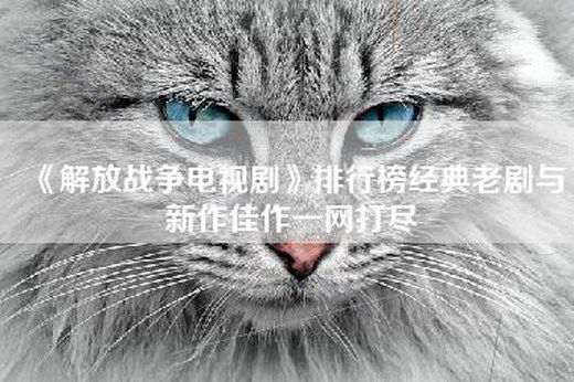 《解放战争电视剧》排行榜经典老剧与新作佳作一网打尽