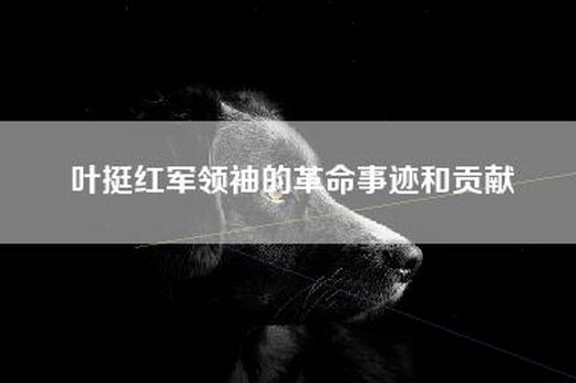 叶挺红军领袖的革命事迹和贡献