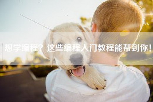 想学编程？这些编程入门教程能帮到你！