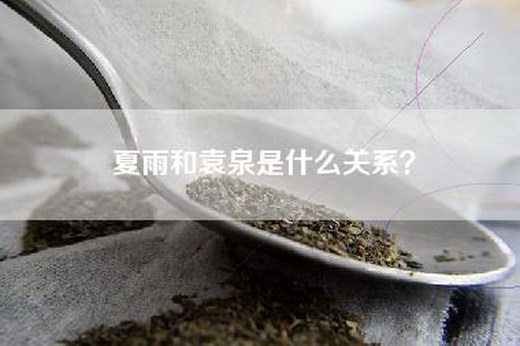 夏雨和袁泉是什么关系？