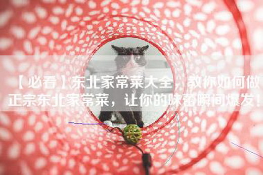 【必看】东北家常菜大全，教你如何做正宗东北家常菜，让你的味蕾瞬间爆发！