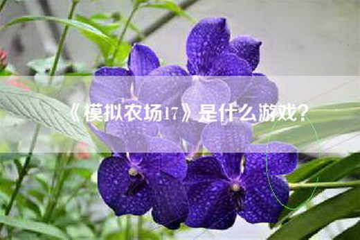 《模拟农场17》是什么游戏？
