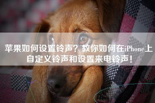 苹果如何设置铃声？教你如何在iPhone上自定义铃声和设置来电铃声！
