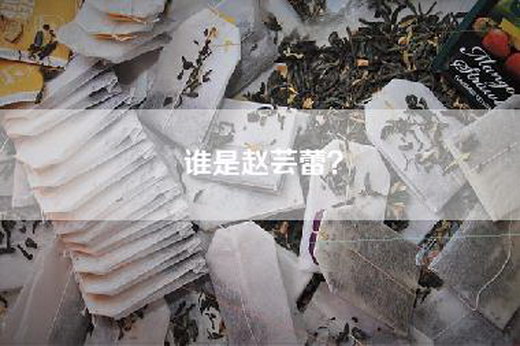 谁是赵芸蕾？