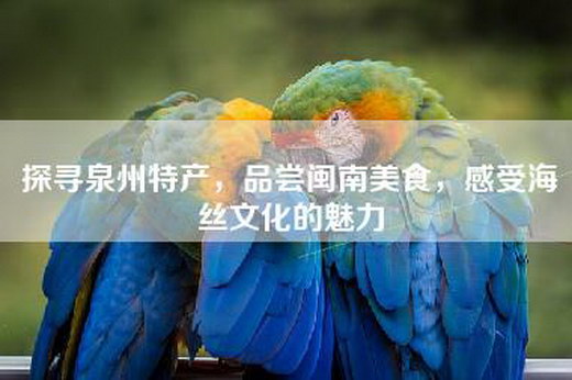 探寻泉州特产，品尝闽南美食，感受海丝文化的魅力