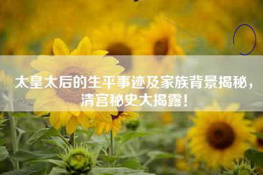 太皇太后的生平事迹及家族背景揭秘，清宫秘史大揭露！