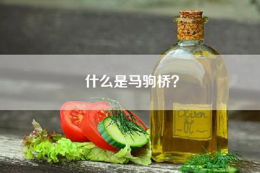 什么是马驹桥？