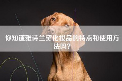 你知道雅诗兰黛化妆品的特点和使用方法吗？