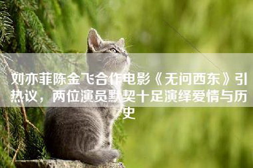 刘亦菲陈金飞合作电影《无问西东》引热议，两位演员默契十足演绎爱情与历史