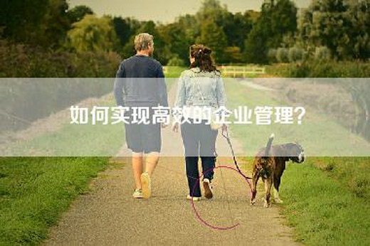 如何实现高效的企业管理？