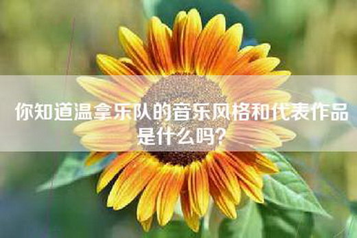 你知道温拿乐队的音乐风格和代表作品是什么吗？