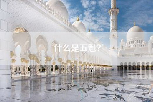 什么是五魁？