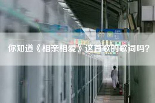你知道《相亲相爱》这首歌的歌词吗？