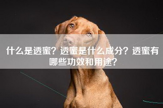 什么是透蜜？透蜜是什么成分？透蜜有哪些功效和用途？
