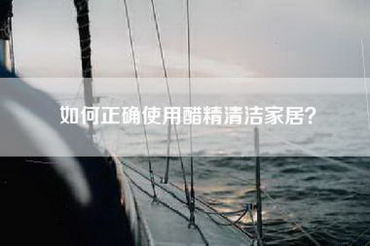 如何正确使用醋精清洁家居？