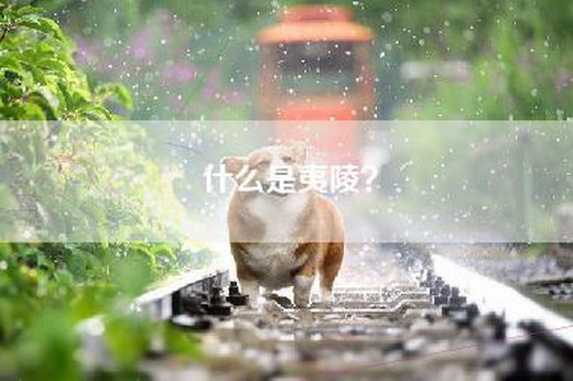 什么是夷陵？