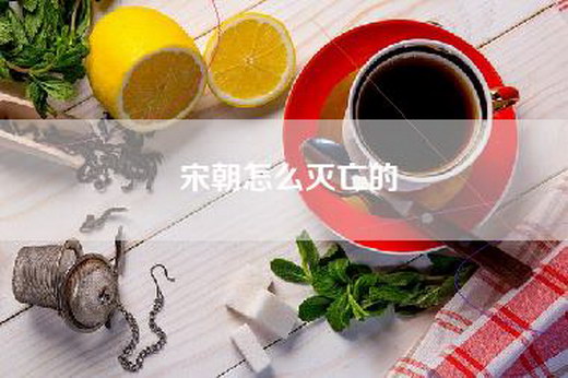宋朝怎么灭亡的