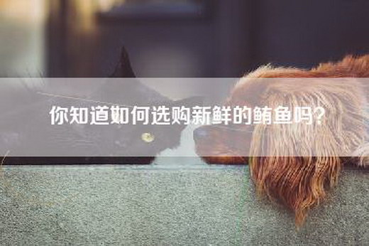 你知道如何选购新鲜的鲔鱼吗？