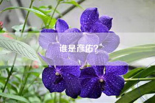 谁是彦佑？
