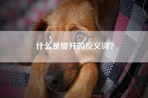 什么是绽开的反义词？