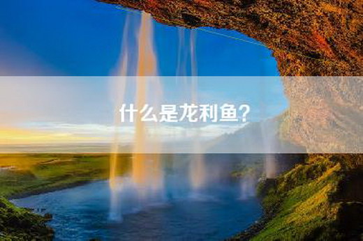 什么是龙利鱼？