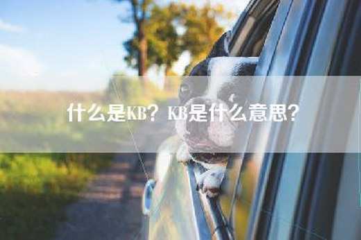 什么是KB？KB是什么意思？