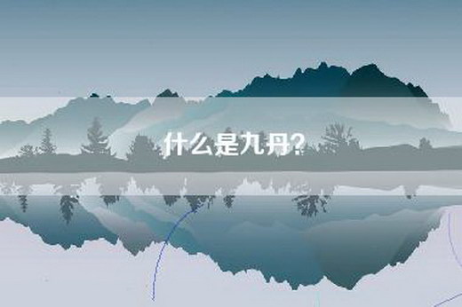 什么是九丹？