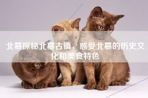北慕探秘北慕古镇，感受北慕的历史文化和美食特色
