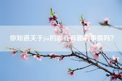 你知道关于jiu的哪些有趣的事情吗？