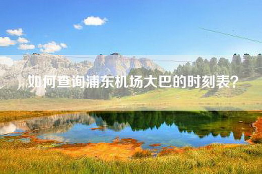 如何查询浦东机场大巴的时刻表？