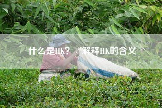 什么是HK？ - 解释HK的含义