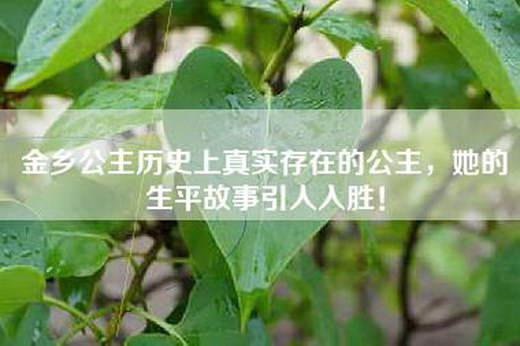 金乡公主历史上真实存在的公主，她的生平故事引人入胜！