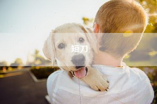 短刀